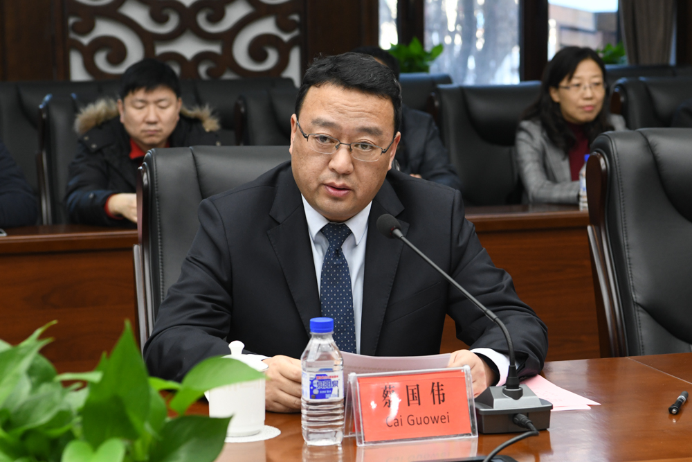 蔡国伟讲话米科·波赫约拉讲话盖东平讲话战高峰讲话王建国主持仪式战